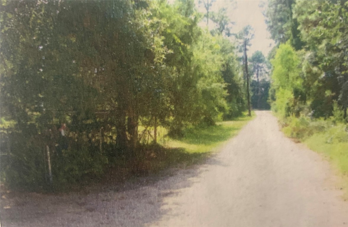 22720 Hudson Road New Caney, TX 77357 - Photo 25 of 40 a view of a yard with a trees