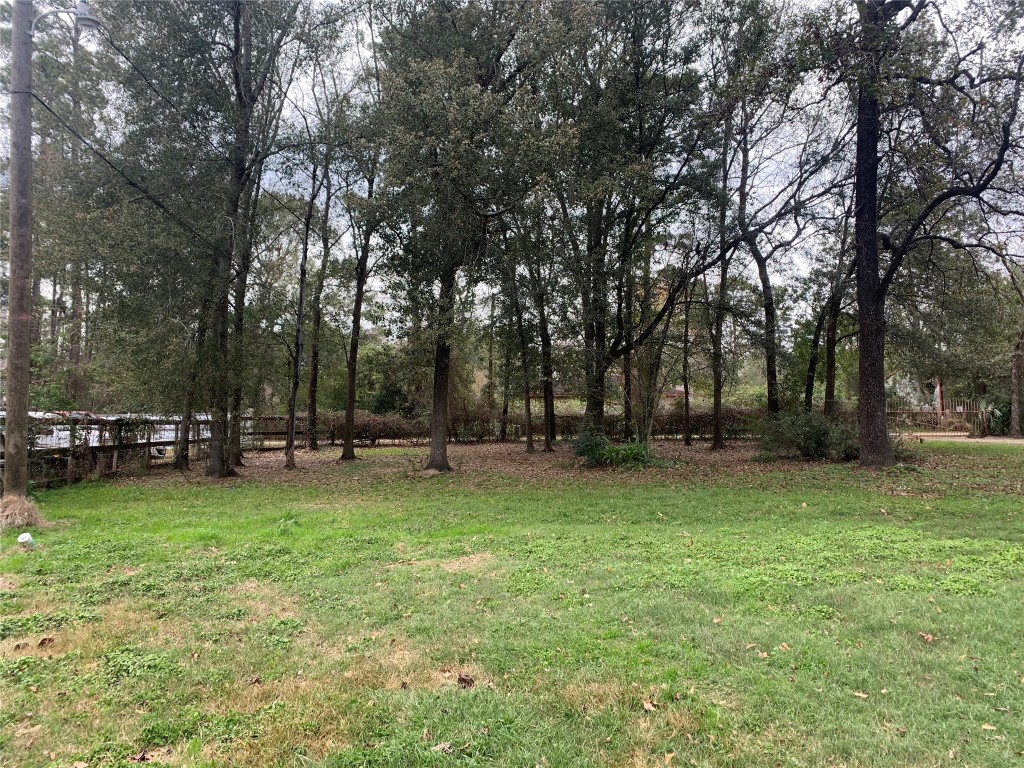 22720 Hudson Road New Caney, TX 77357 - Photo 39 of 40 a view of a park with large trees