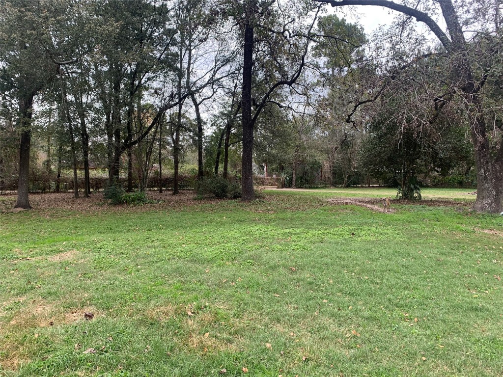 22720 Hudson Road New Caney, TX 77357 - Photo 40 of 40 a grassy field with some trees in it