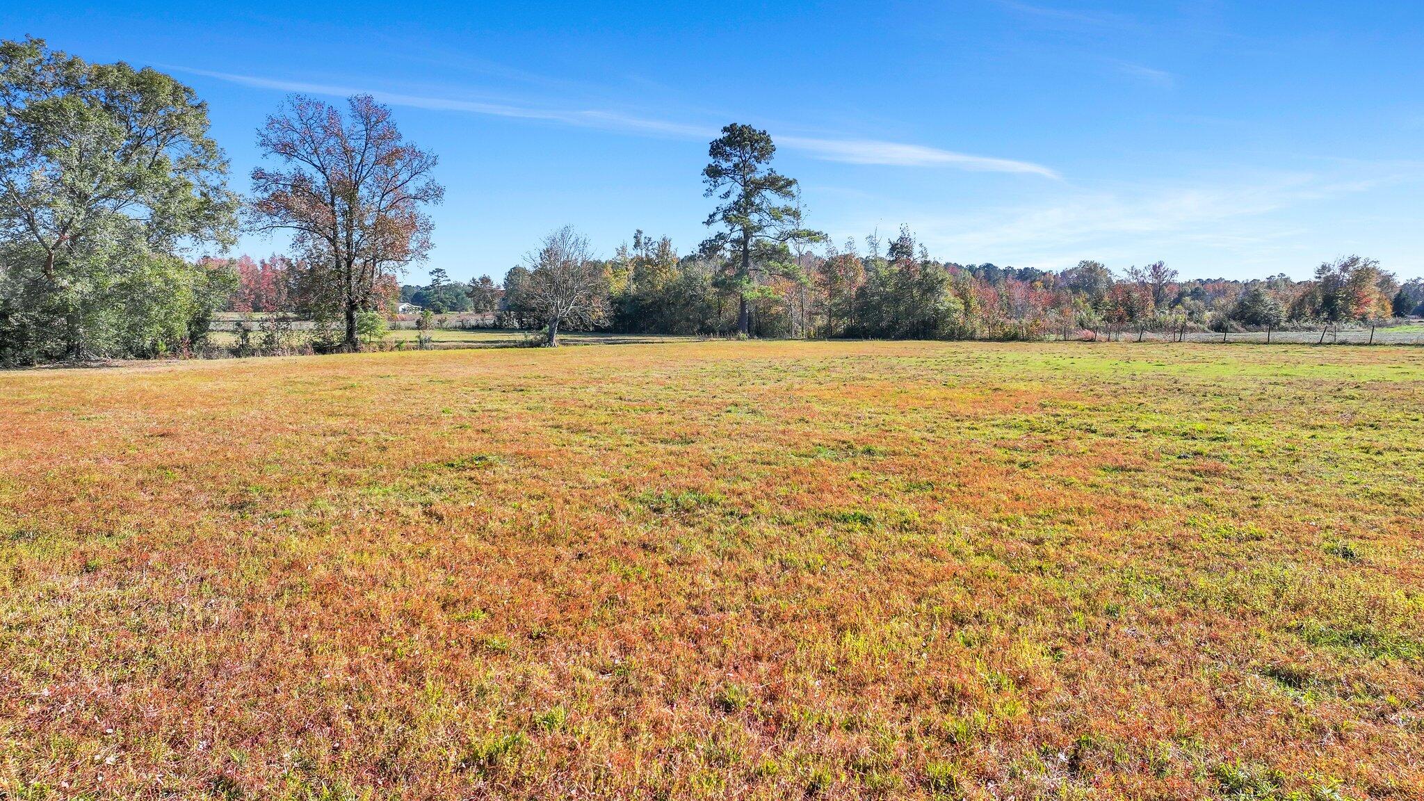114 Van L Road Kingstree, SC 29556 - Photo 98 of 201 187-web-or-mls-DJI_20241125135945_0431_D