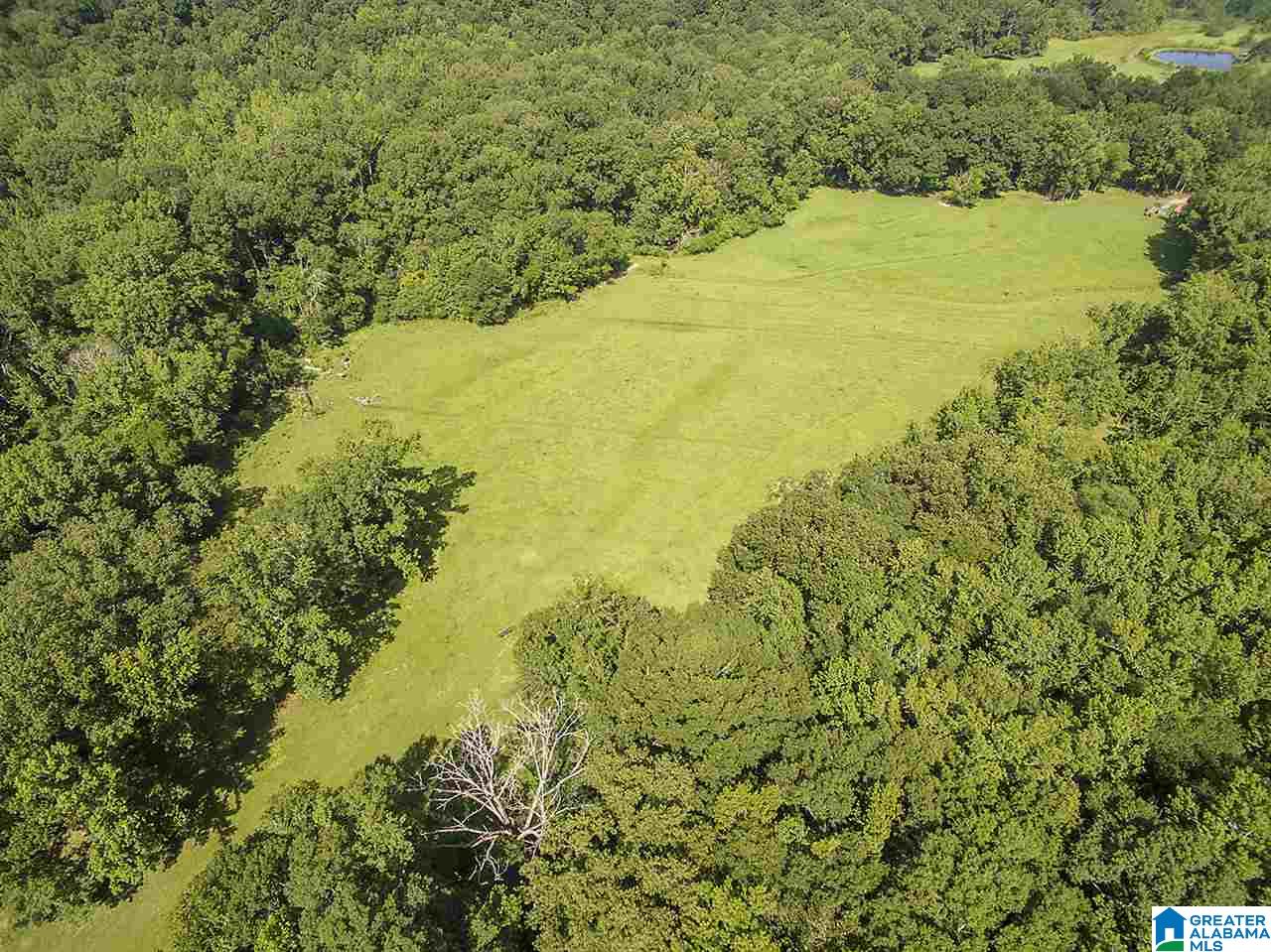3330 Highway 174 Springville, AL 35146 - Photo 5 of 21