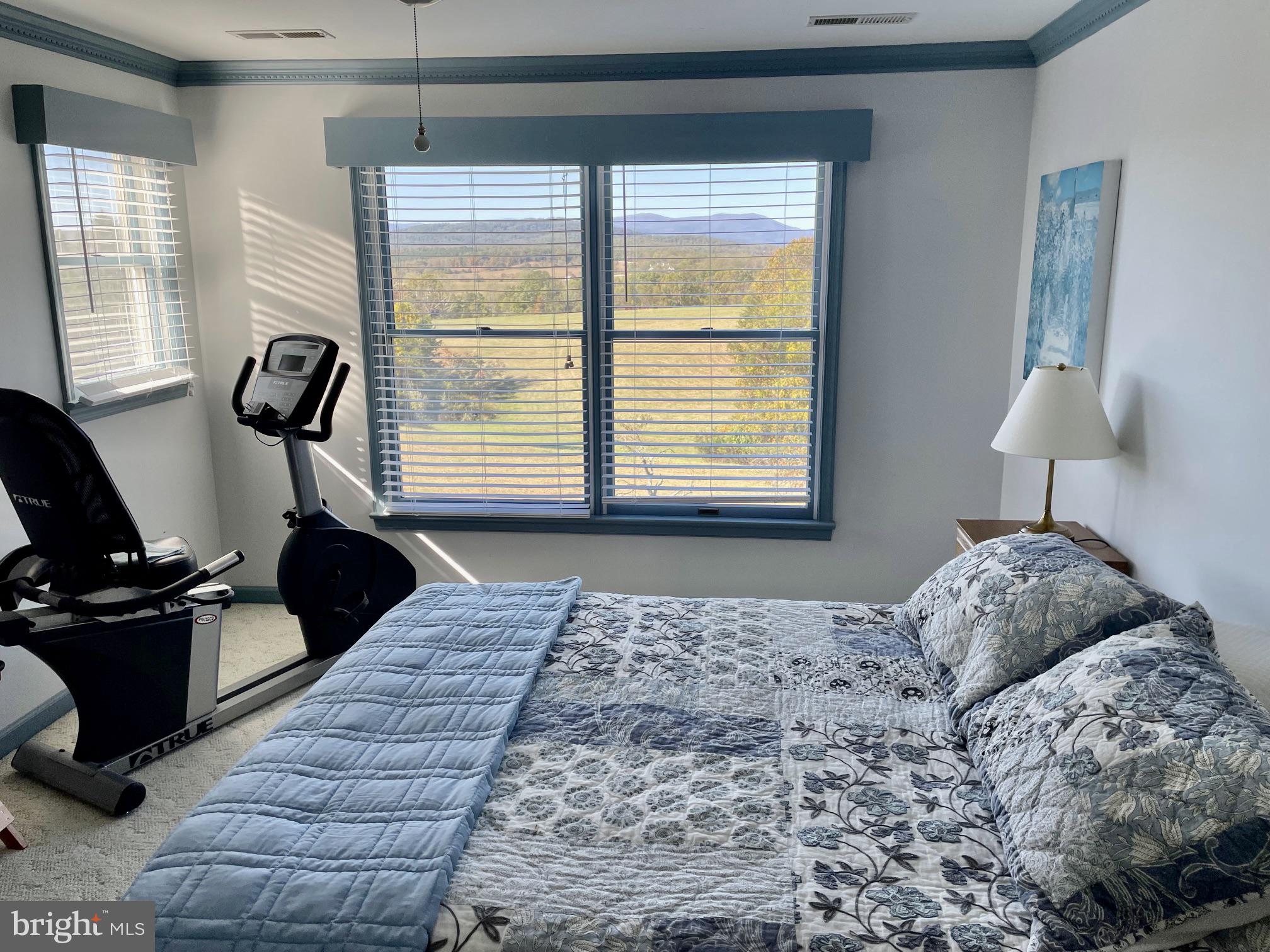 643 Richmond Road Amissville, VA 20106 - Photo 35 of 48 a bedroom with a bed window and a lamp