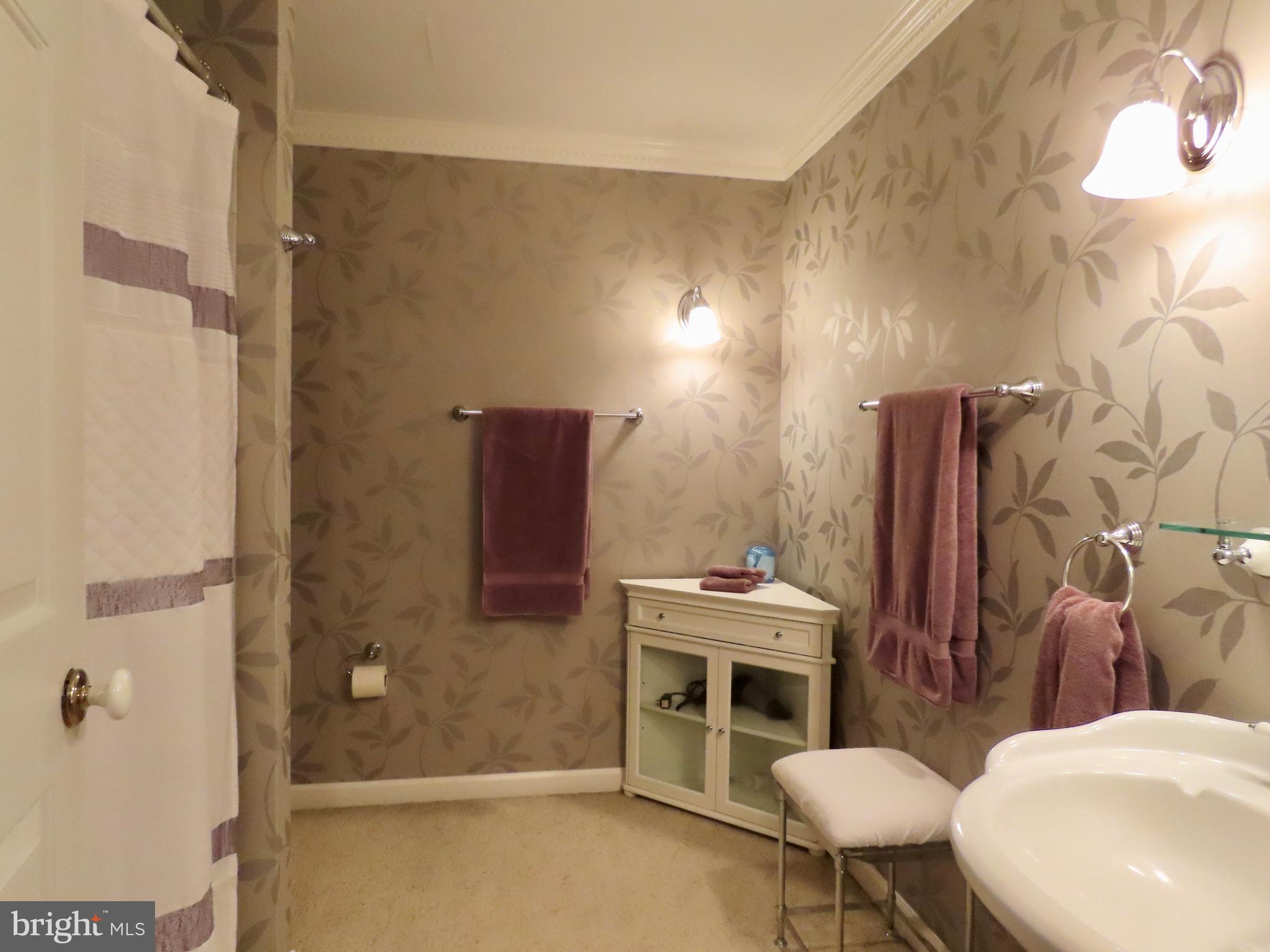 643 Richmond Road Amissville, VA 20106 - Photo 36 of 52 a bathroom with a sink toilet and shower