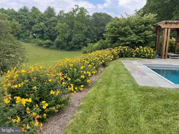 a view of a garden with flower plants