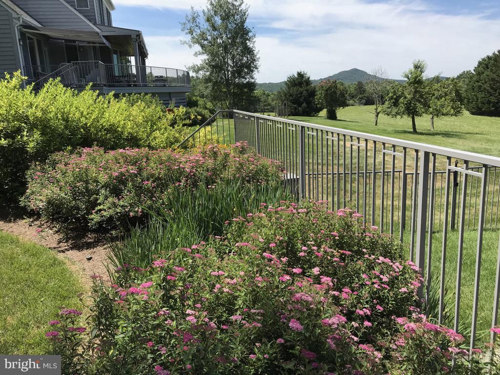 643 Richmond Road Amissville, VA 20106 - Photo 42 of 52 a view of a garden with flower plants