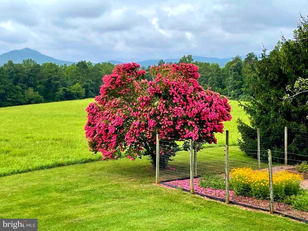 643 Richmond Road Amissville, VA 20106 - Photo 48 of 52 a view of a house with a big yard and potted plants