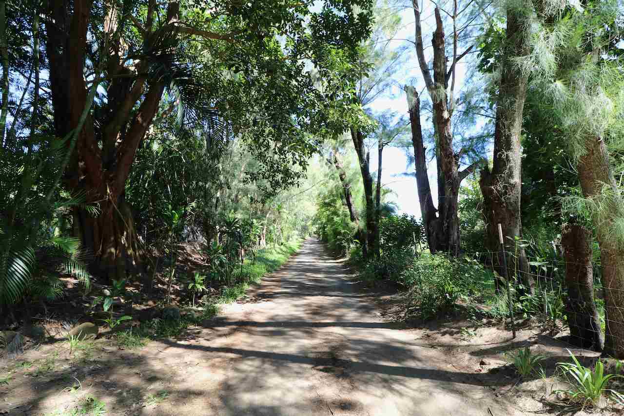 475 Kulike Road, Unit 2 Haiku, HI 96708 - Photo 25 of 26 a pathway of a yard