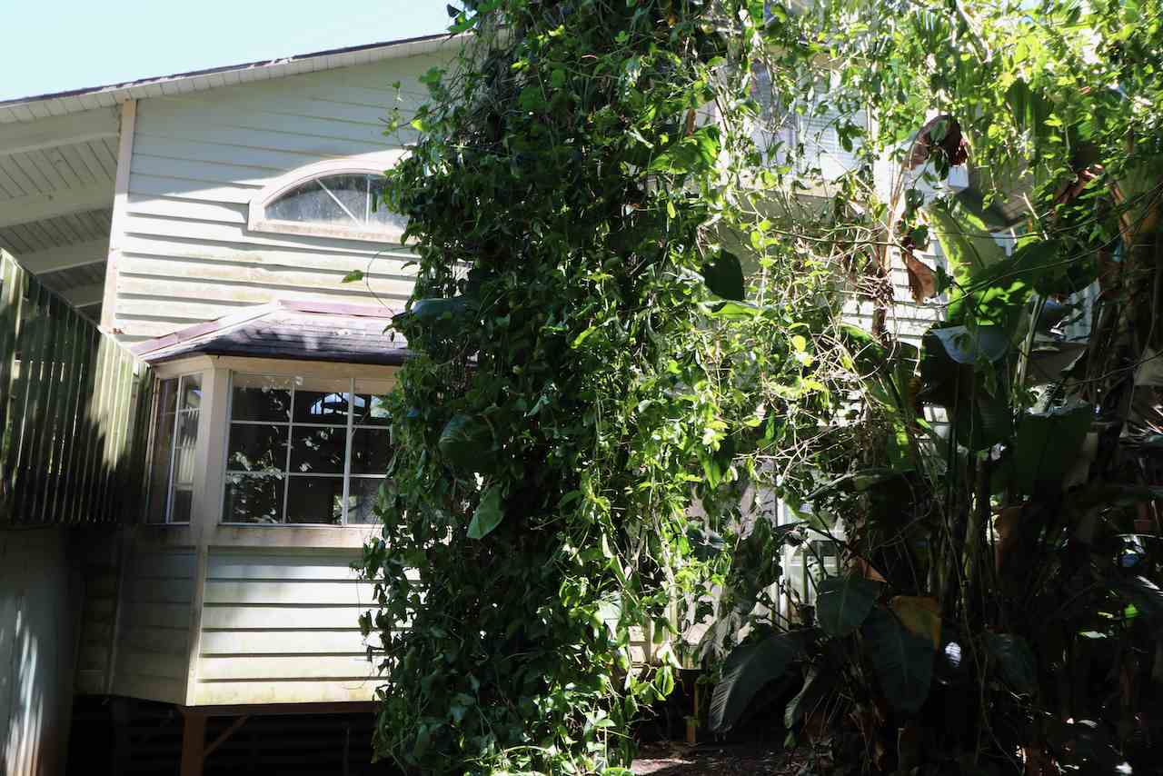 475 Kulike Road, Unit 2 Haiku, HI 96708 - Photo 5 of 26 a front view of a house with a tree