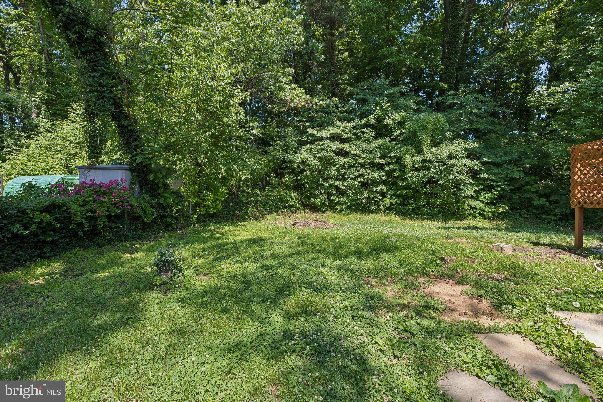 14197 Fullerton Road Woodbridge, VA 22193 - Photo 23 of 23 a view of a lush green forest