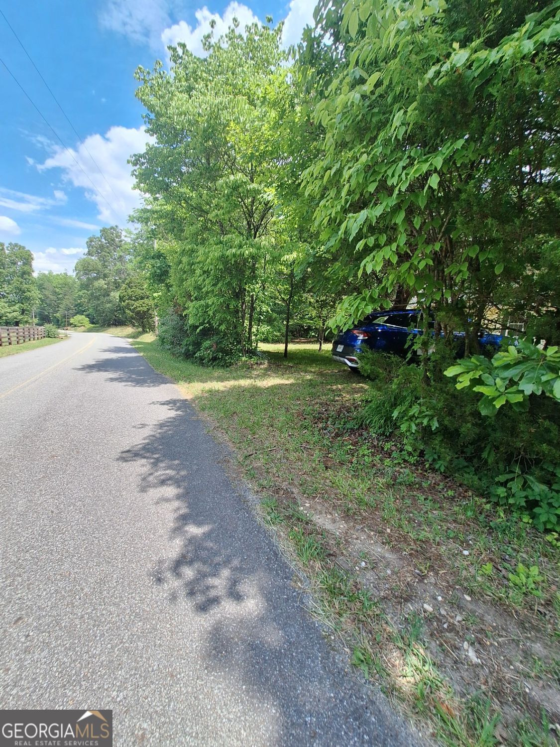 333 Lickskillet Road Epworth, GA 30541 - Photo 6 of 38 a view of a yard with plants and large trees
