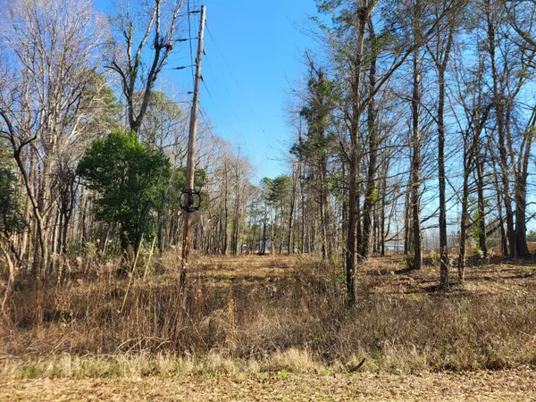 $59,500 | Lot 1 Santee Lumber Road, Santee, SC 29142