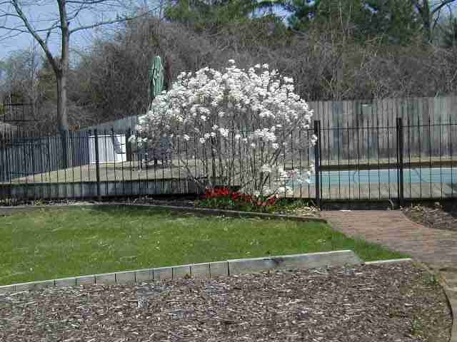 515 North River Road Bristol, IN 46507 - Photo 7 of 11