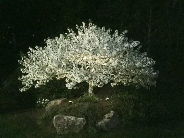 $1,400,000 | 38 Mirror Lake Road, Jackson, NH 03846