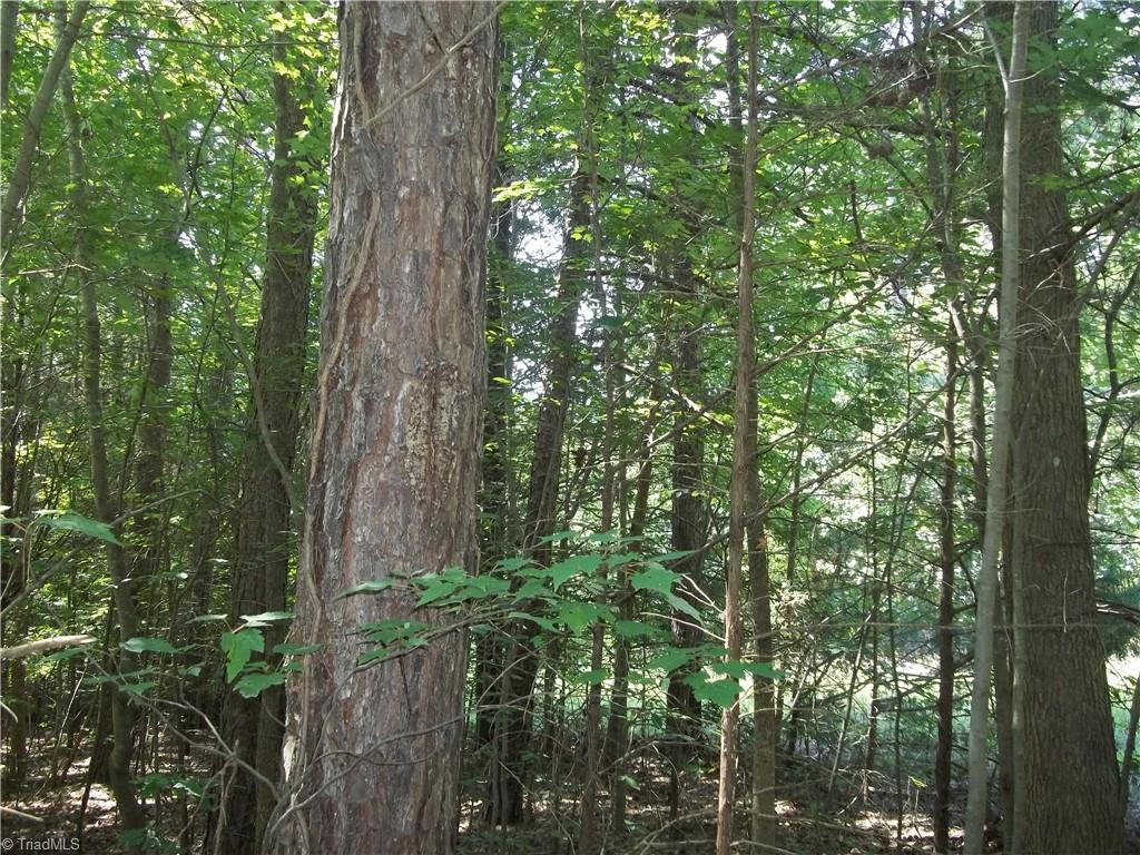 0 Clyde King Road Seagrove, NC 27341 - Photo 6 of 12 Gallery Image 6
