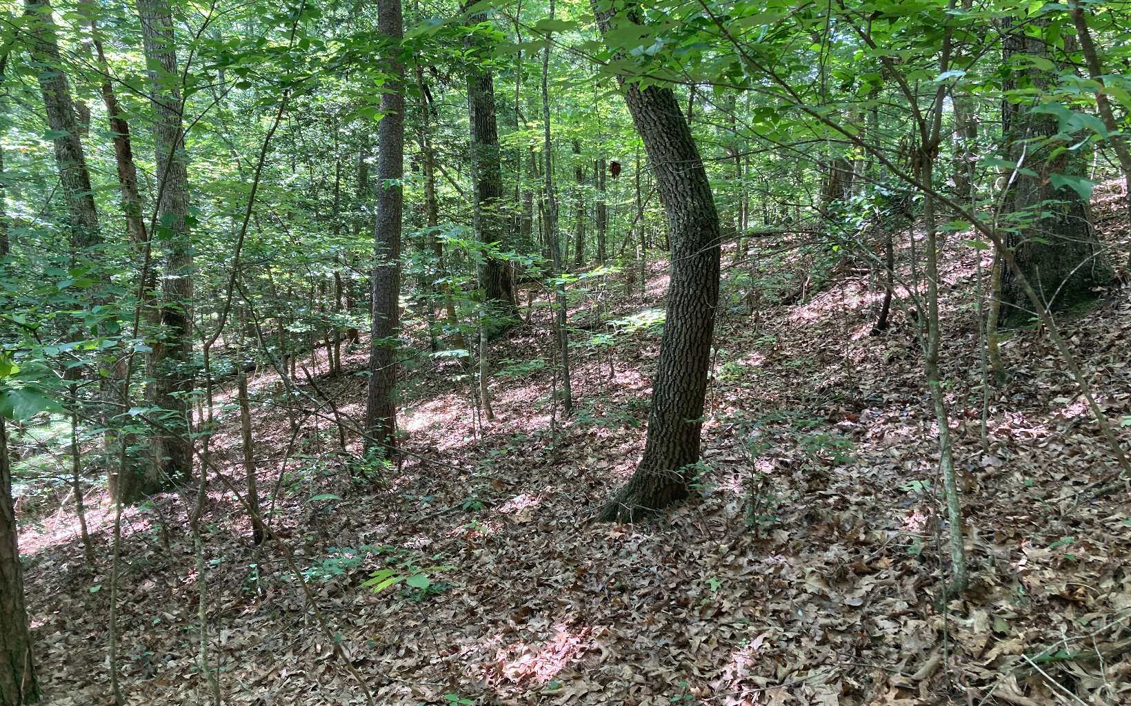 0 Liberty Road Murphy, NC 28906 - Photo 14 of 16 Additional View