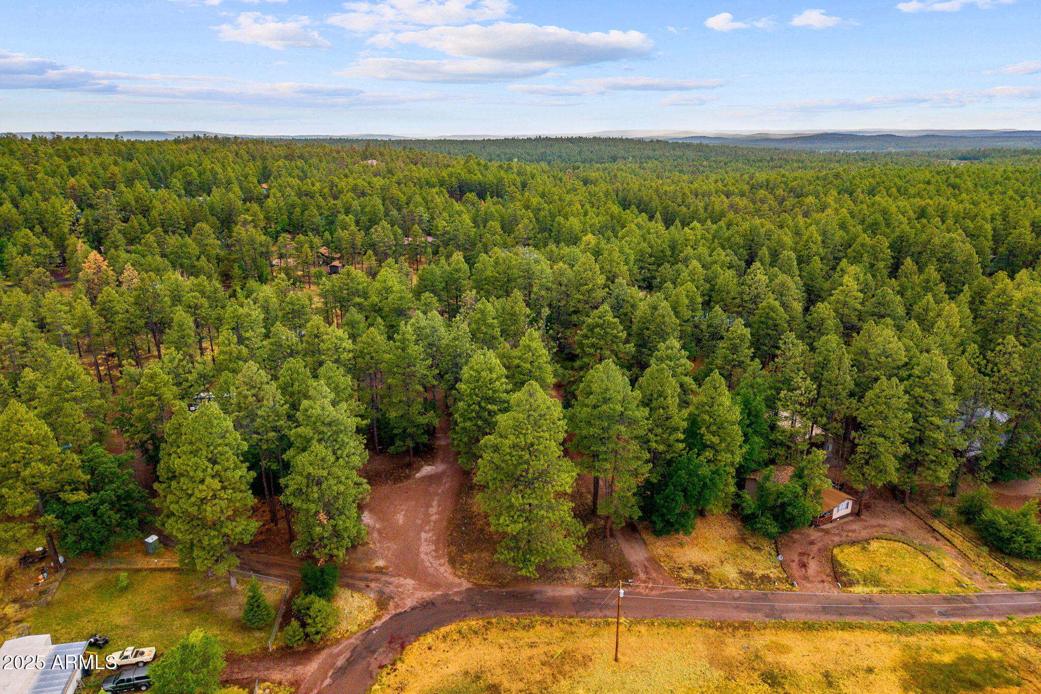 2444 South Jan Lane Pinetop, AZ 85935 - Photo 46 of 61 2444SJanLn-Pinetop-AZ-51