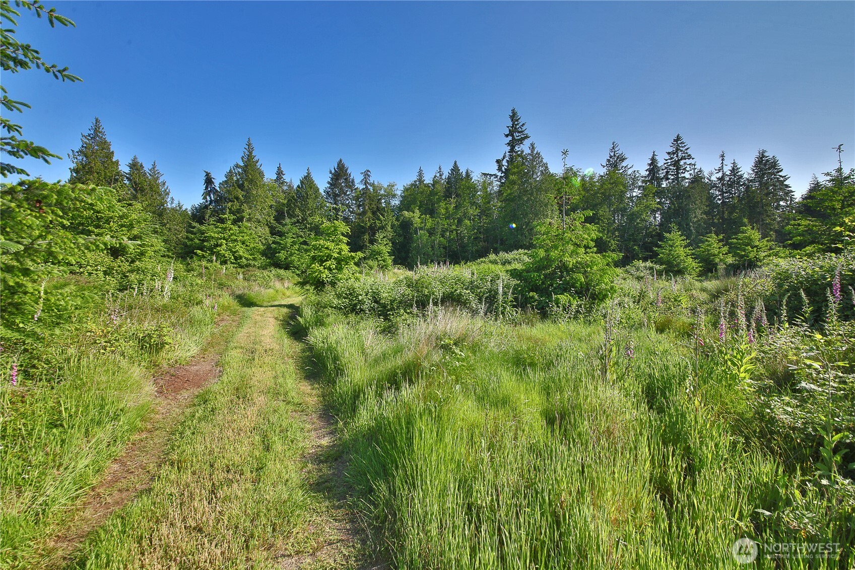2062 East Goodell Road Freeland, WA 98249 - Photo 2 of 37