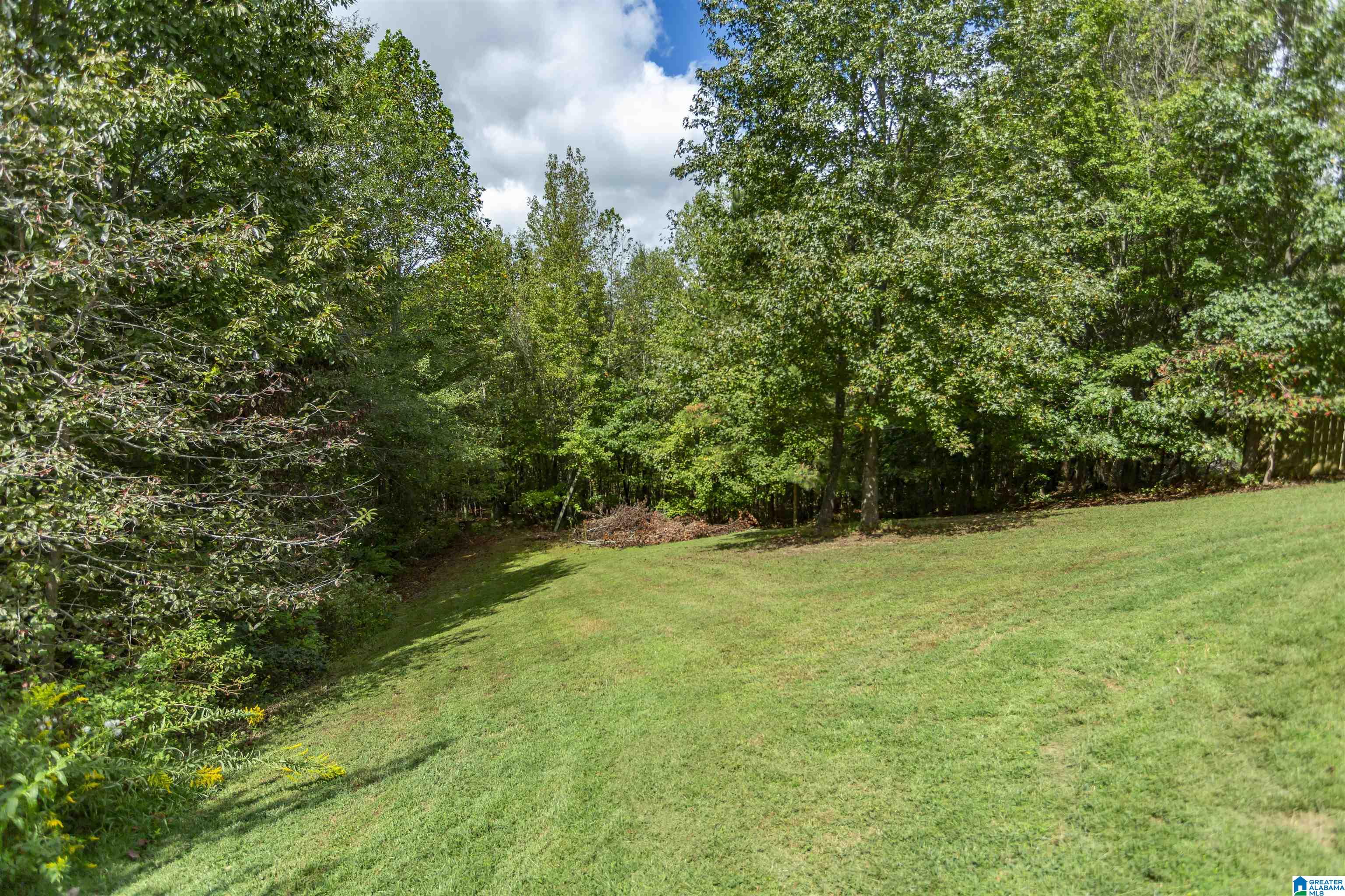 457 Hidden Ridge Drive Odenville, AL 35120 - Photo 39 of 39