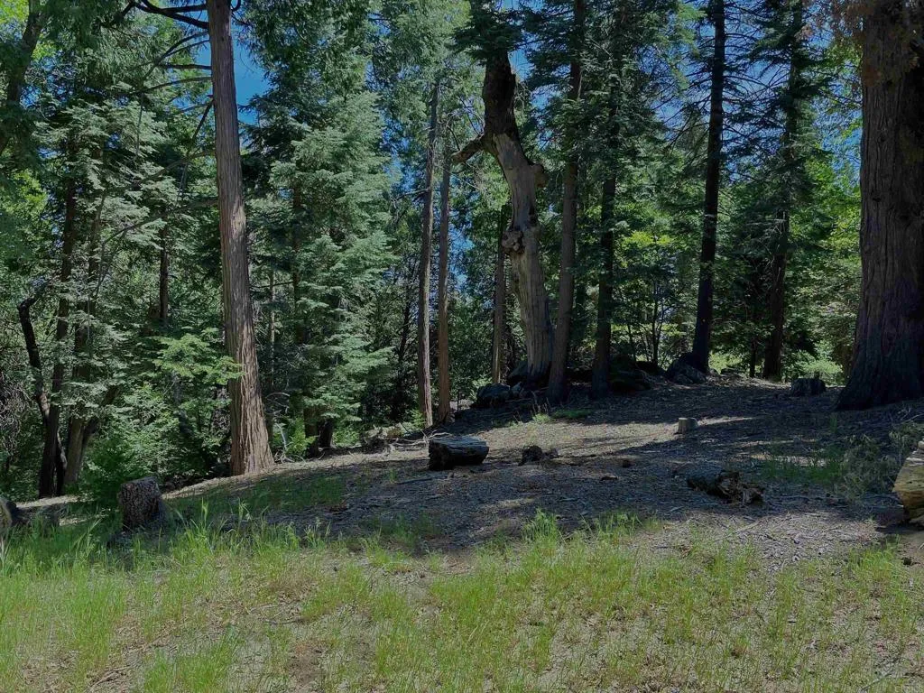 0 Crestline Road Valley Center, CA 92082 - Photo 12 of 18