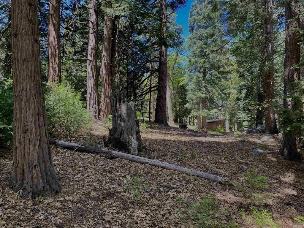 0 Crestline Road Valley Center, CA 92082 - Photo 16 of 18
