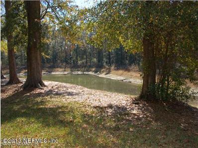 7680 Spring Branch Court Jacksonville, FL 32221 - Photo 12 of 13 Pond