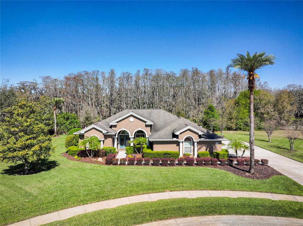 2659 Keystone Springs Road Tarpon Springs, FL 34688 - Photo 1 of 1 Gallery Image 1
