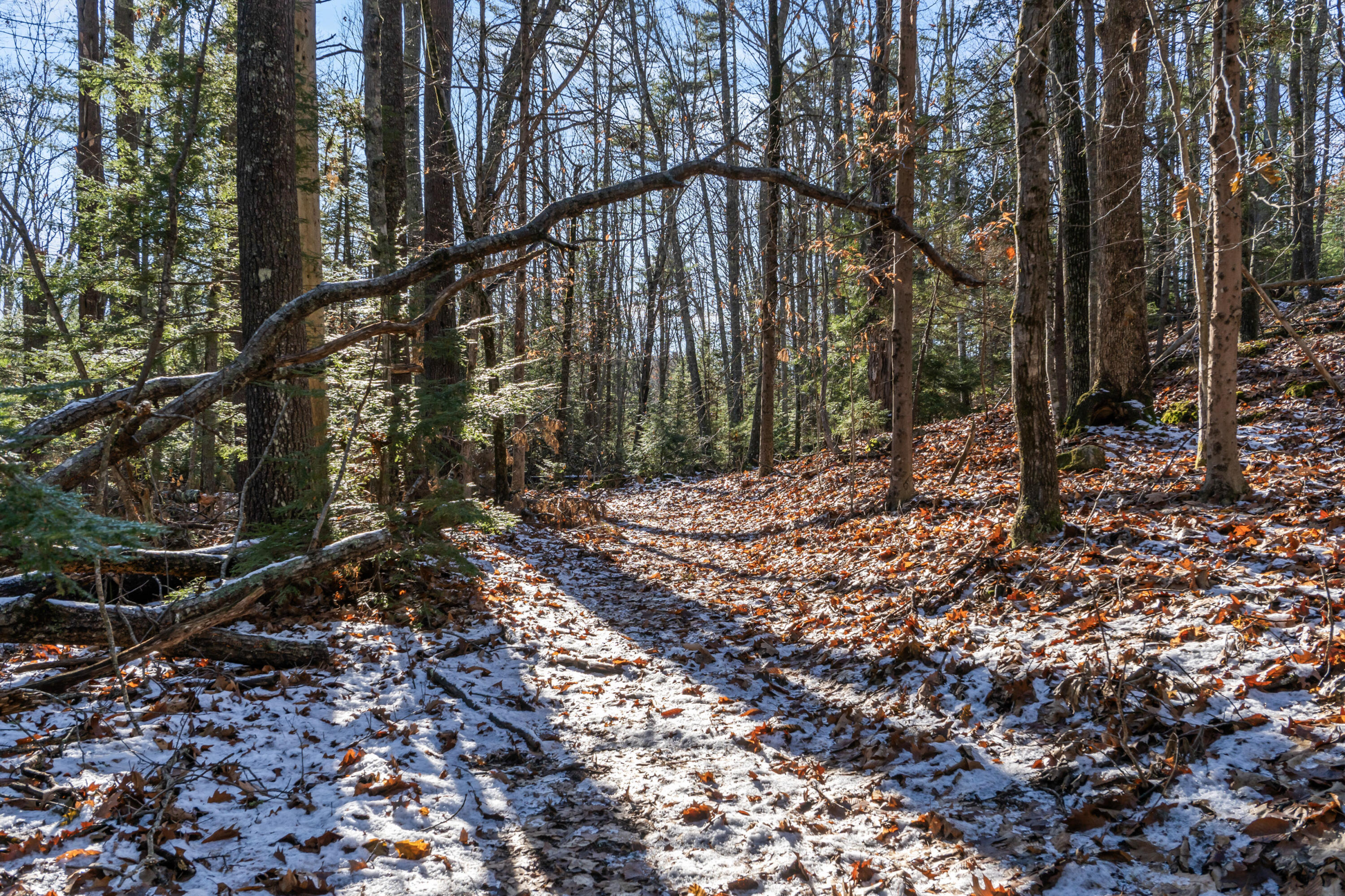 796 West Alna Road Alna, ME 04535 - Photo 49 of 55 Trails throughout the property