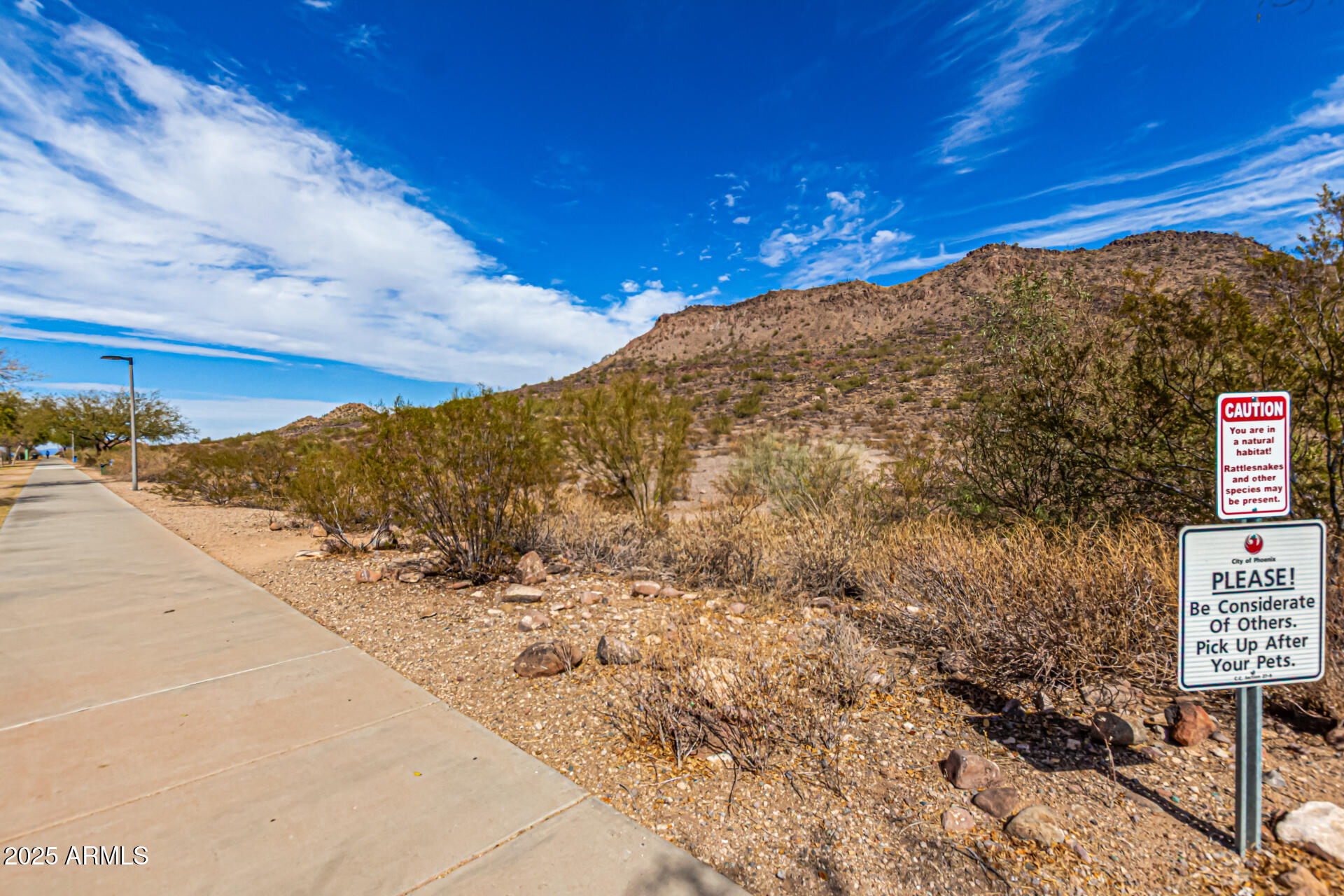 5523 West Yearling Road Phoenix, AZ 85083 - Photo 45 of 54 a view of a dry yard