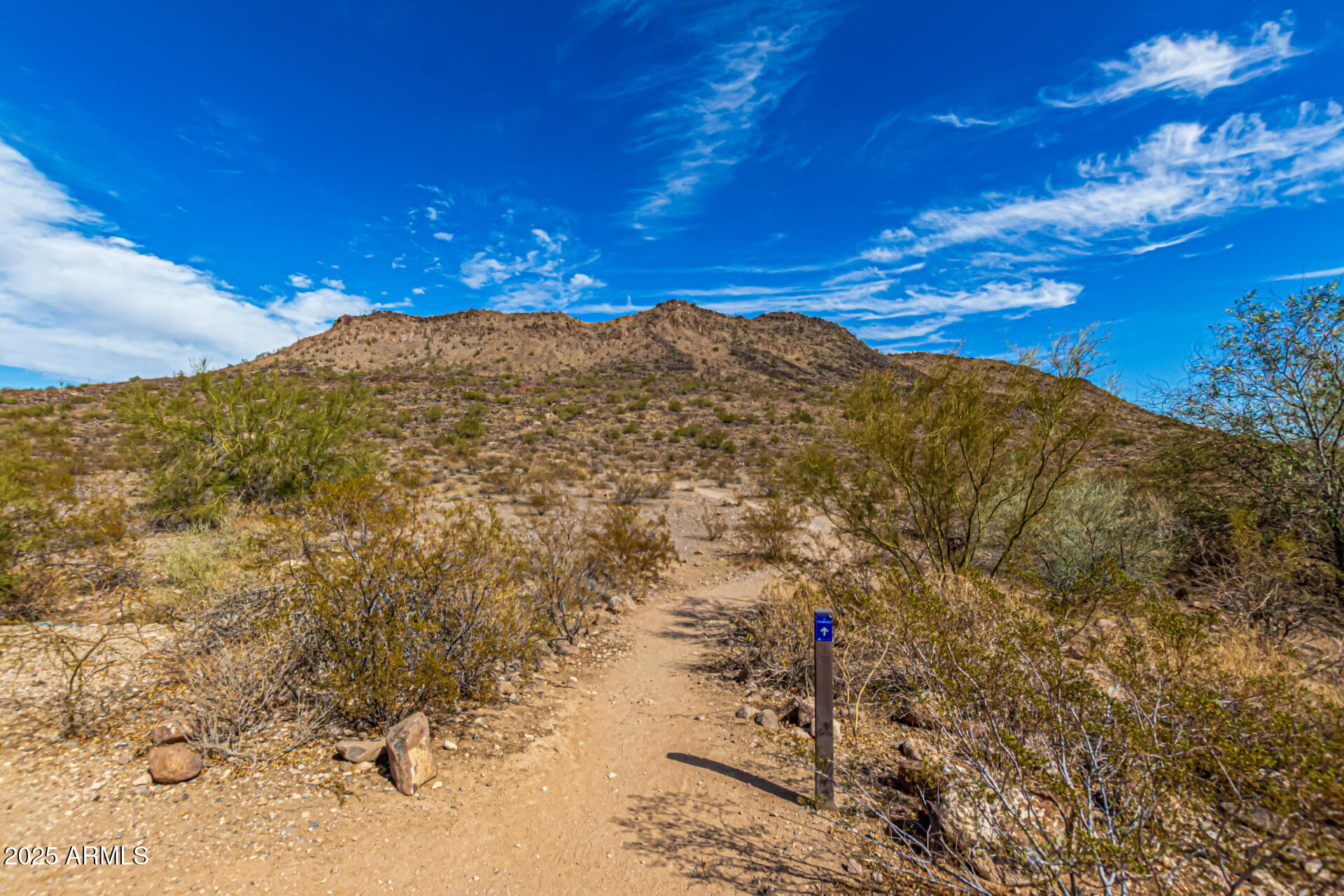 5523 West Yearling Road Phoenix, AZ 85083 - Photo 46 of 54 a view of a large tree with wooden fence