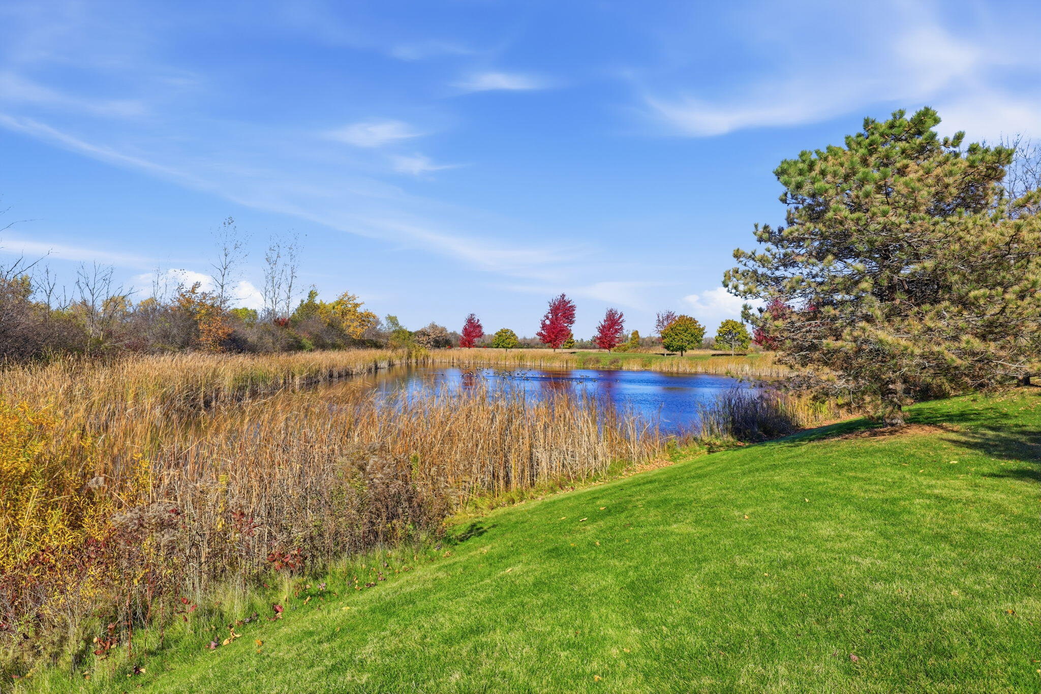 838 Boulder Trail, Unit 205 Mount Pleasant, WI 53406 - Photo 23 of 25 Pond View