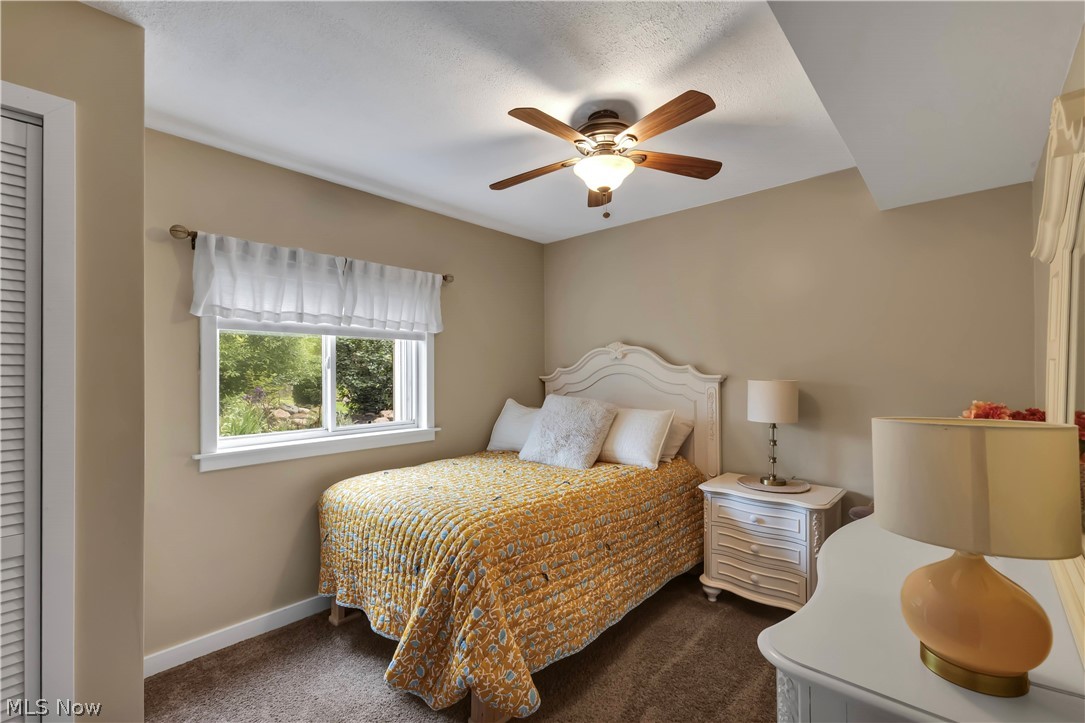 8704 Columbia Road Olmsted Falls, OH 44138 - Photo 22 of 34 Windowed room with textured carpeting, a white trim window, and neutral wall tones