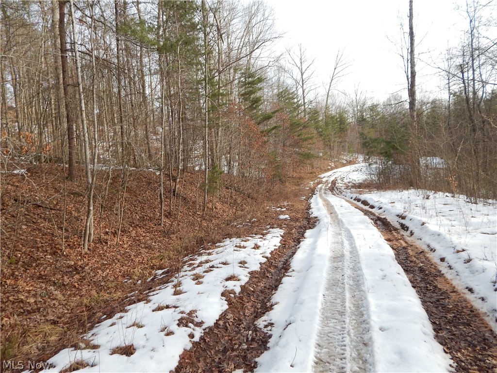 Fingerboard Road Big Springs, WV 26137 - Photo 8 of 21