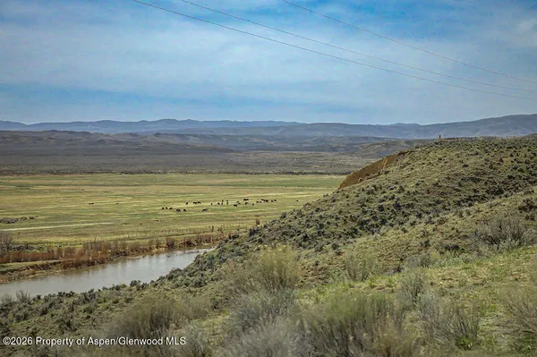 a view of a dry yard with wooden cabinets
