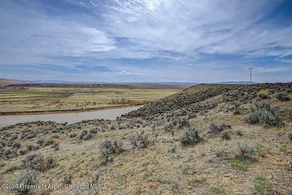 a view of a yard with a dry yard