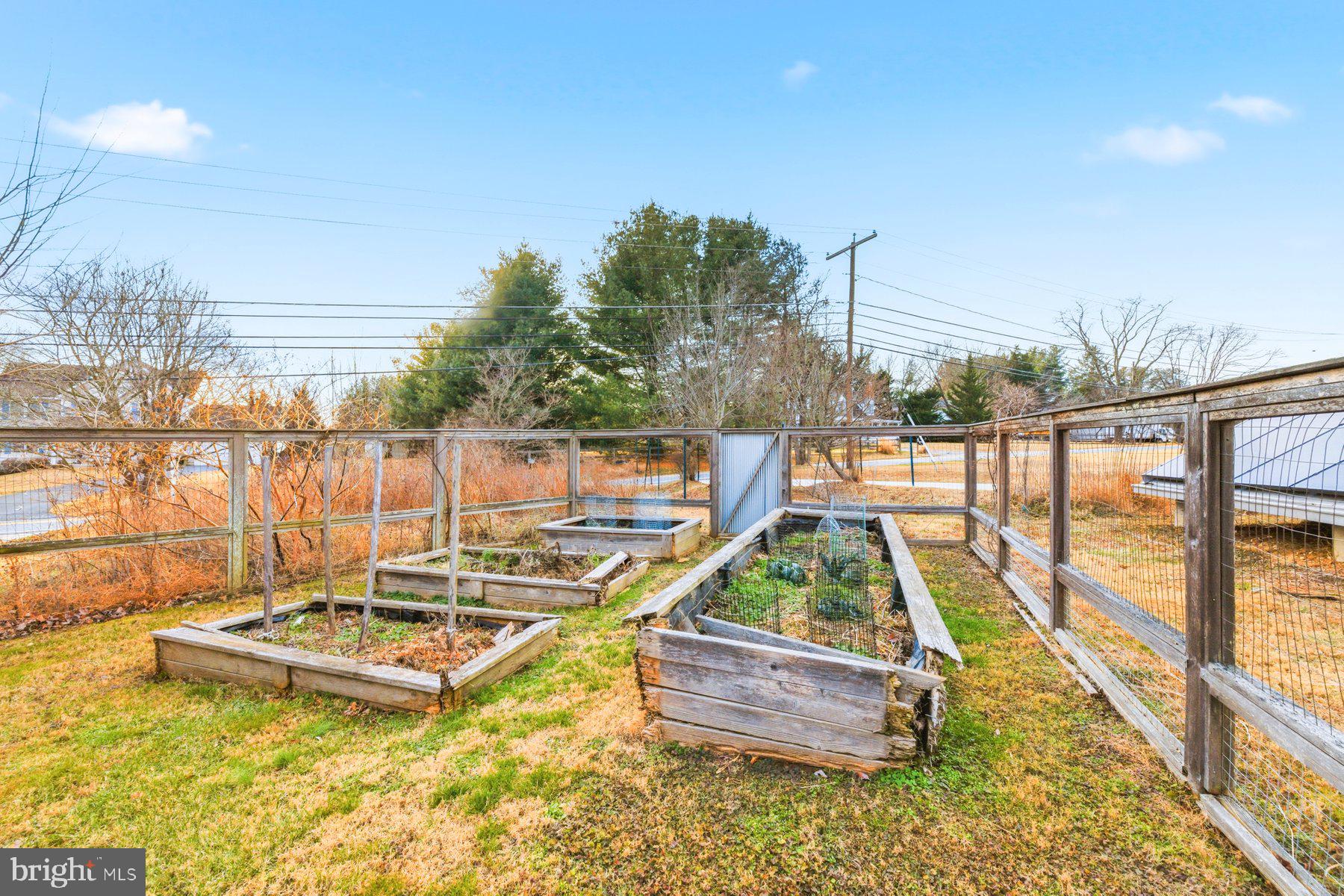 11232 Old Hopkins Road Clarksville, MD 21029 - Photo 43 of 45 Garden