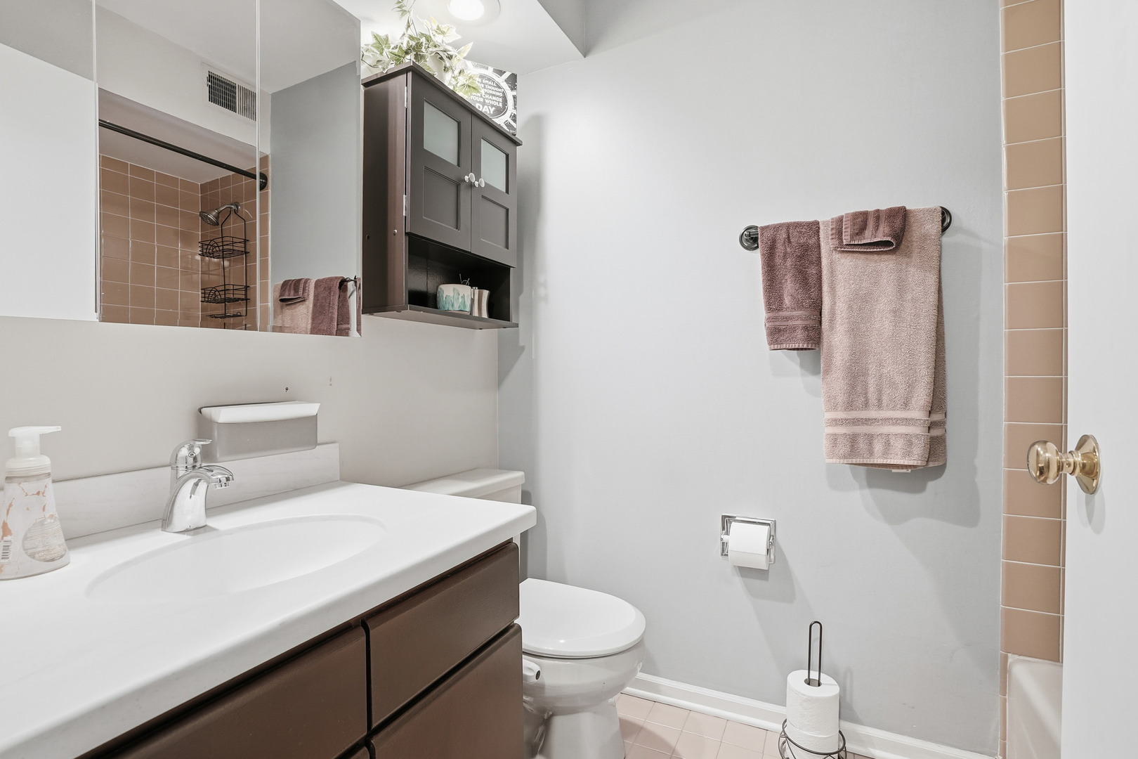 917 Patricia Lane, Unit 917 Crete, IL 60417 - Photo 13 of 17 a bathroom with a sink a toilet and mirror