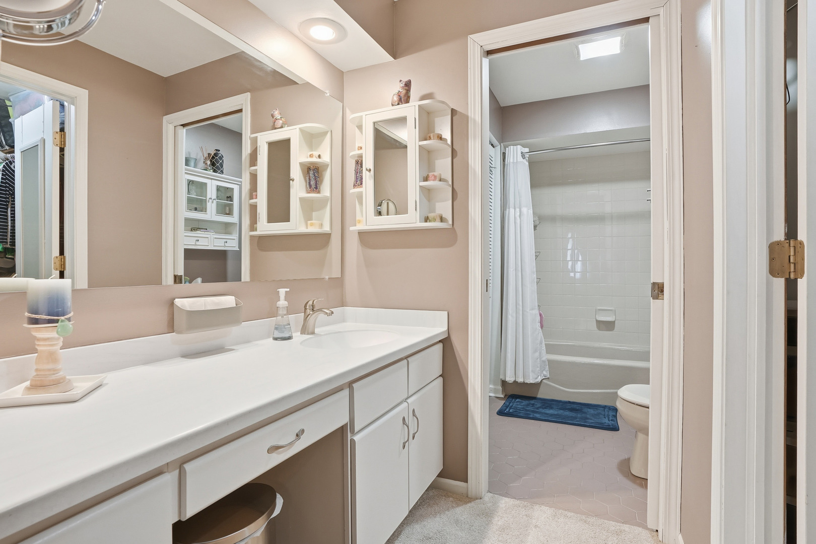 917 Patricia Lane, Unit 917 Crete, IL 60417 - Photo 10 of 17 a bathroom with a sink and a mirror