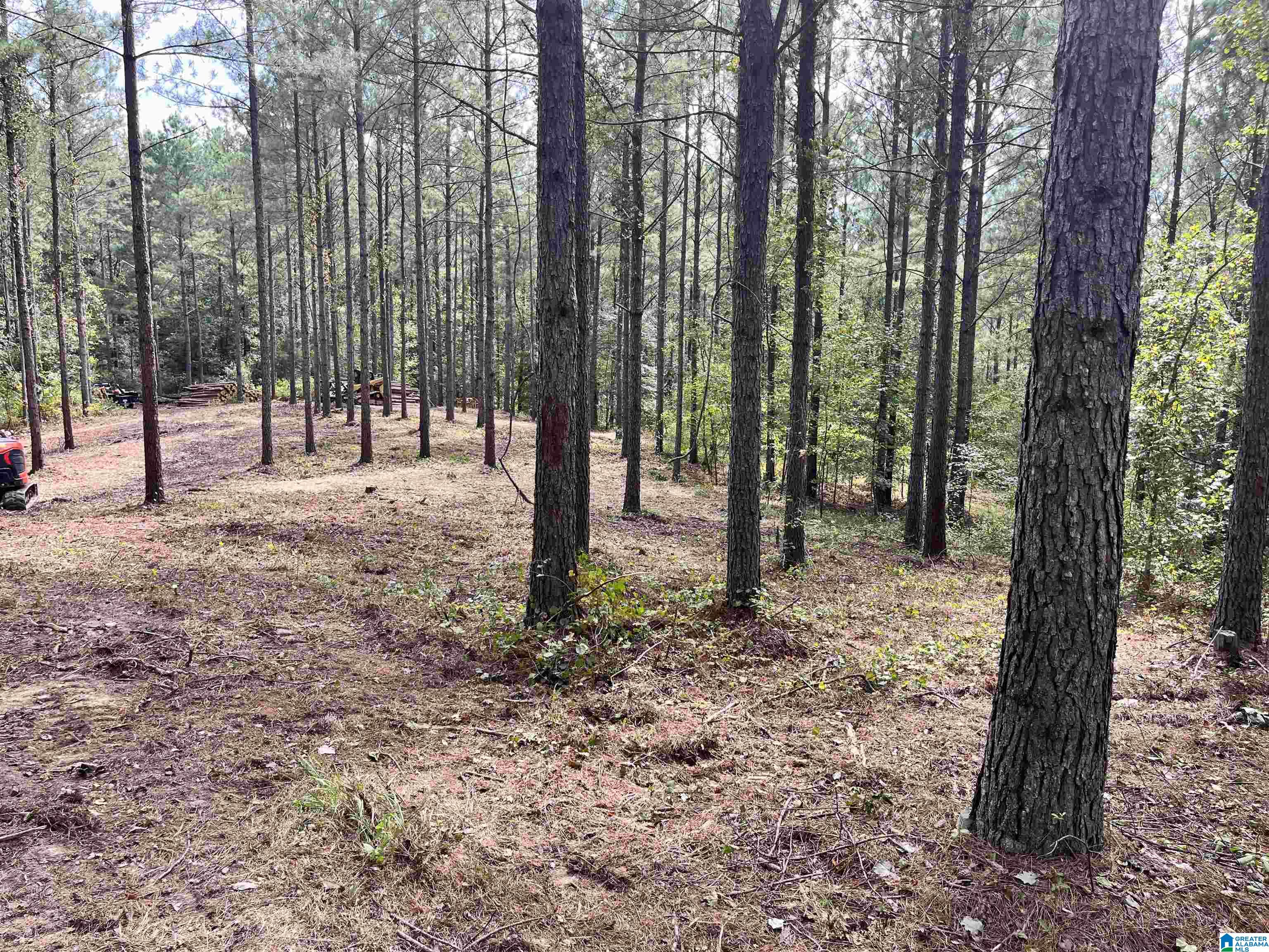 605 Sweet Apple Road, Unit TRACT 5 Cropwell, AL 35054 - Photo 2 of 8
