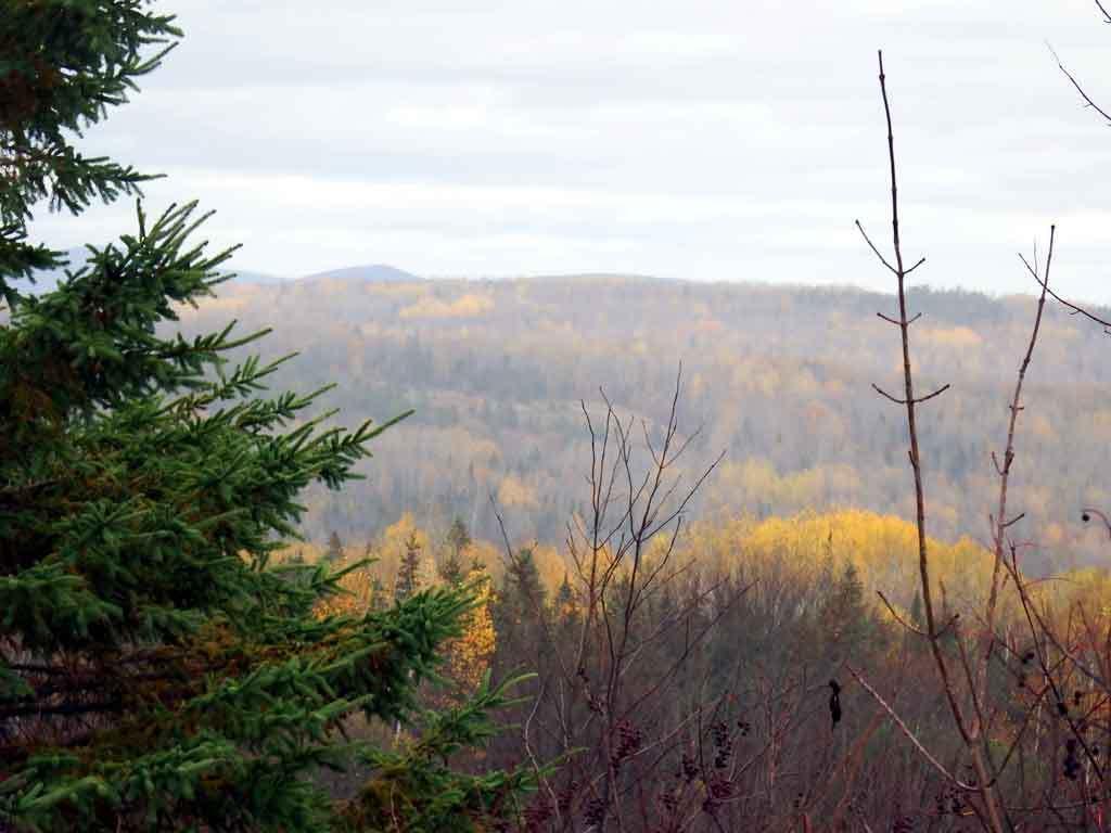 Lot 16 Rte 11 Patten, ME 04765 - Photo 10 of 32 land-patten-zannini-3
