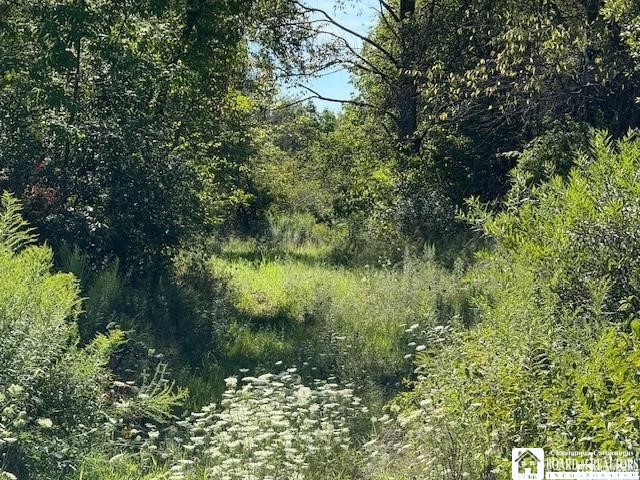 West Oak Hill Road Jamestown, NY 14701 - Photo 3 of 4