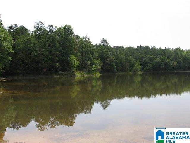 Paradise Lake Road, Unit 2 Vance, AL 35490 - Photo 2 of 10 Gallery Image 2