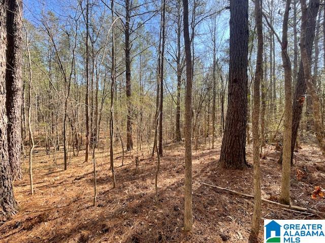 140 County Road, Unit 27± AC Wadley, AL 36276 - Photo 7 of 8