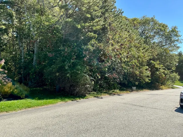a view of outdoor space and yard