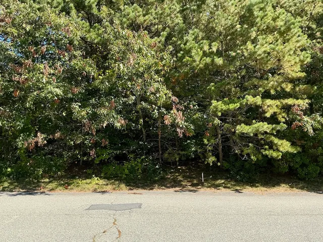 a view of a yard covered with snow