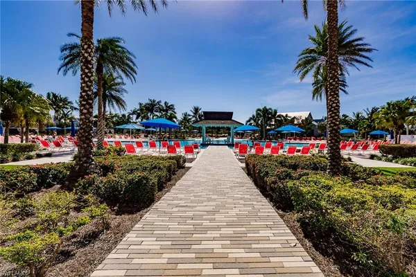 a view of a park with palm trees