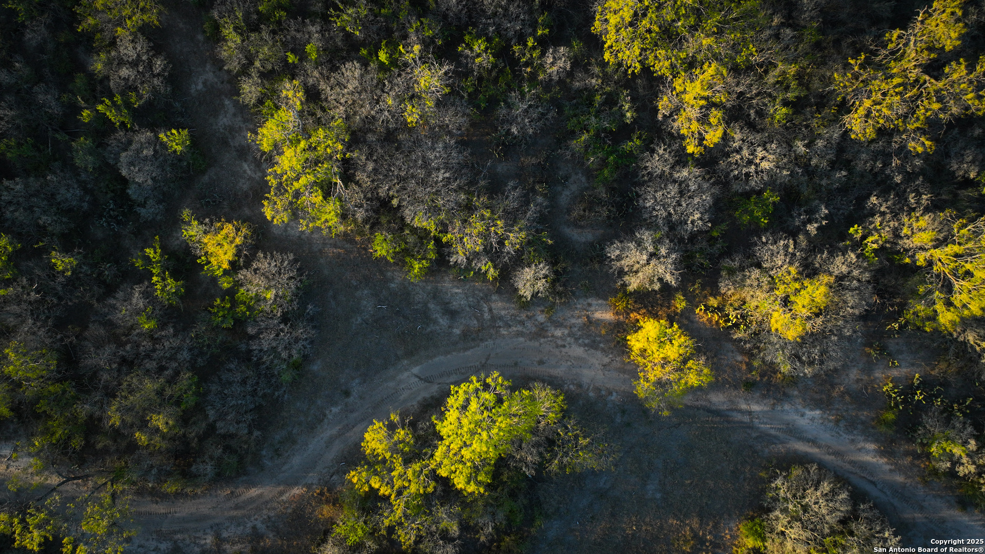 11190 Jarratt Road Atascosa, TX 78002 - Photo 18 of 29
