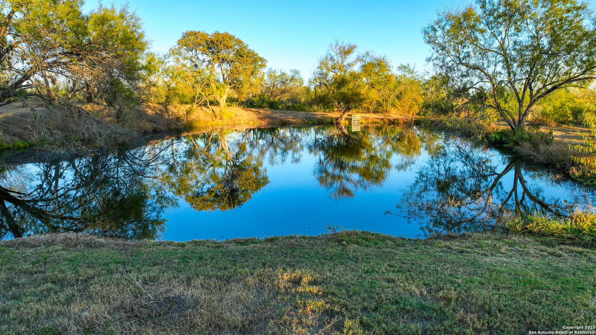 11190 Jarratt Road Atascosa, TX 78002 - Photo 10 of 29