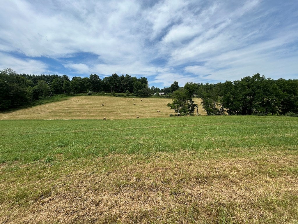 29.31-ac Ridgetop Drive Rural Retreat, VA 24368 - Photo 12 of 38 Gallery Image 12