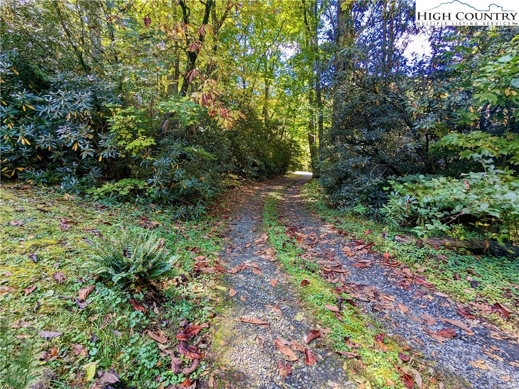 46 Tree Farm Spruce Pine, NC 28777 - Photo 29 of 41