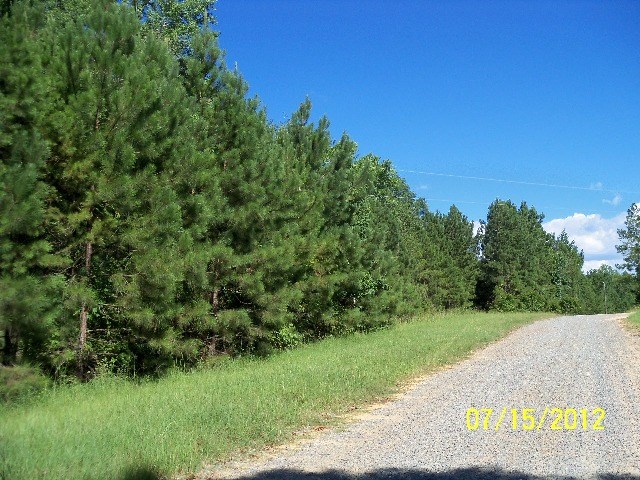 -burginville R Burginville Road Buena Vista, GA 31803 - Photo 4 of 6 a view of a garden